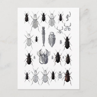 Truppe von alien briefkaart