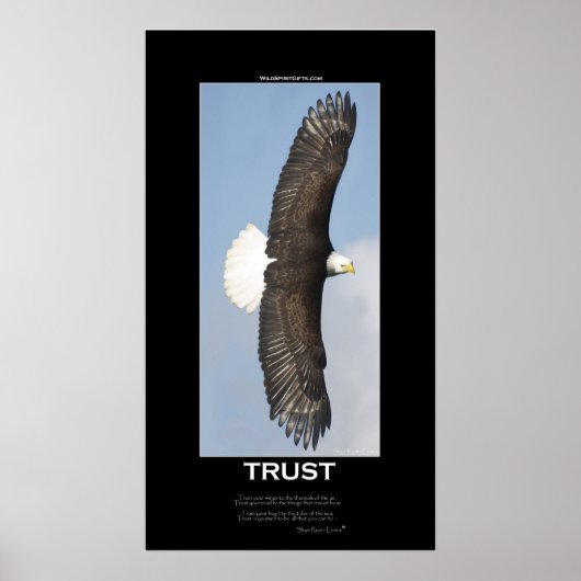 TRUST Bald Eagle Motivatie Poster (Voorkant)