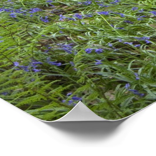 TRUST GOD - Christelijke Poster Muur kunst (Hoek)