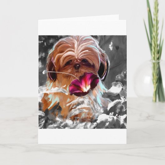 trust more new.jpg kaart (Voorkant)