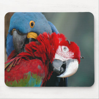 Trust Mousepad Muismat