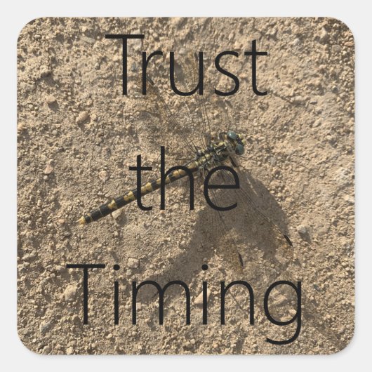 Trust The Timing - Sticker (Voorkant)