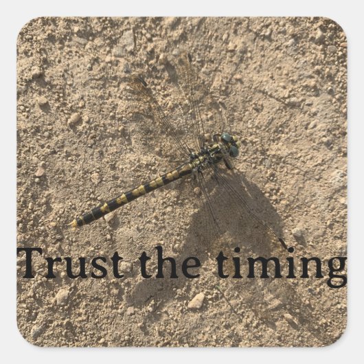 Trust the Timing Sticker (Voorkant)