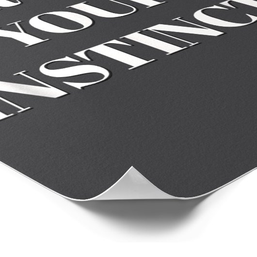 Trust Your Instincts Motivational  Poster (Hoek)