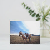 Trusted Steed Briefkaart (Staand voorkant)