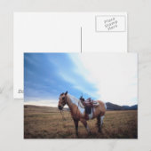 Trusted Steed Briefkaart (Voorkant / Achterkant)