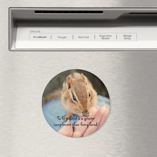 Trusting Chipmunk Magnet (Insitu (Vaatwasser))