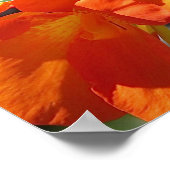 Truth Psalm 145:18 Oranje Floral Poster (Hoek)
