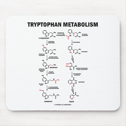 Tryptofaanmetabolisme (chemie) muismat (Voorkant)
