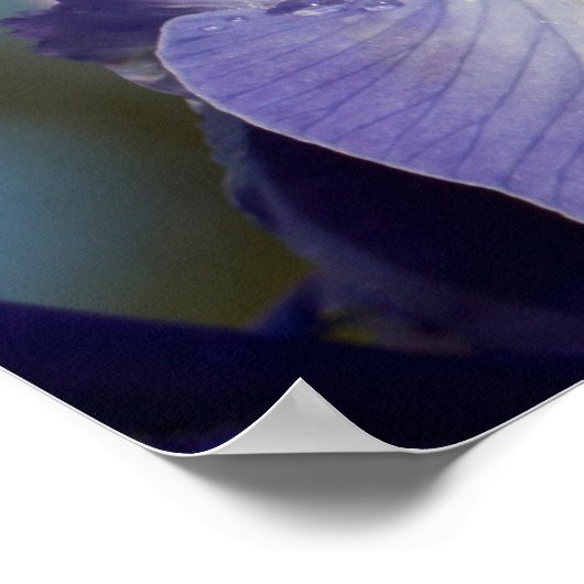 TS Eliot Quote Water Drop on Iris Poster (Hoek)