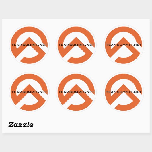 TS Symbool Sticker (Vel)