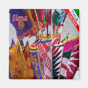 TSC063 SIENA, Banners van de Contrade, Koelkast Magneet