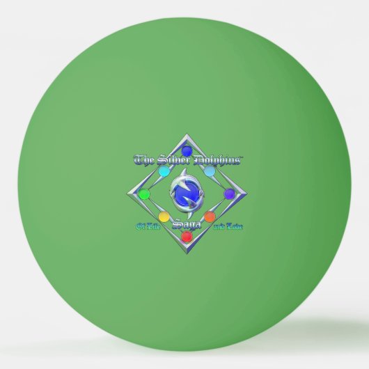 TSDS: Justin Arisdale Hoesje Art Solo Earth Pingpongbal (Achterkant)