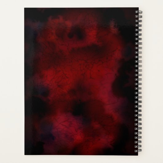 TSDS: Magische Chaos Planner (Achterkant)