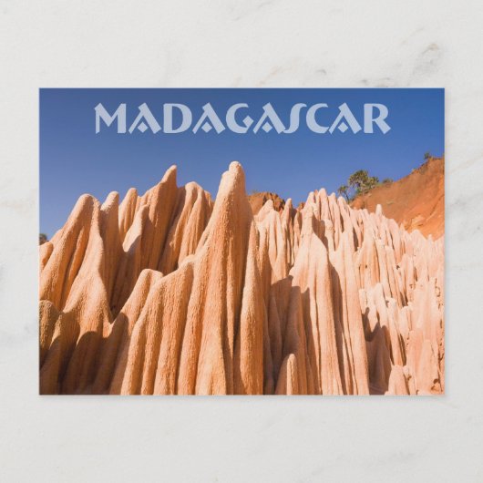 Tsingy rouges de Madagascar Briefkaart (Voorkant)