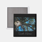 Tsitsikamma National Park South Africa Magnet (Voorkant / Achterkant)