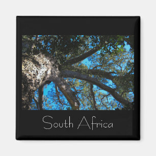 Tsitsikamma National Park South Africa Magnet