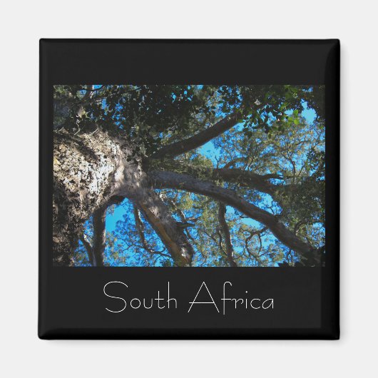 Tsitsikamma National Park South Africa Magnet (Voorkant)