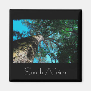 Tsitsikamma National Park South Africa Magnet