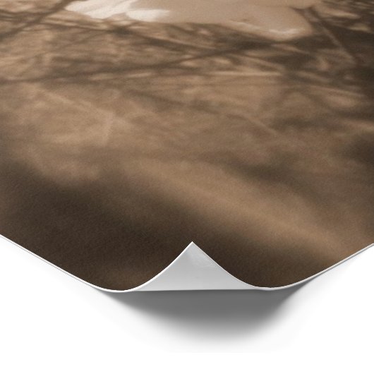 tsjechië bloesems in de hemel , sepia poster (Hoek)