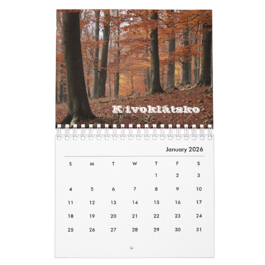 Tsjechië Kalender (Jan 2026)