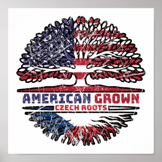 Tsjechië Tsjechië Verenigde Staten Verenigde State Poster (Voorkant)