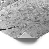 TSJECHIË, West-Bohemen, Karlovy Vary Poster (Hoek)