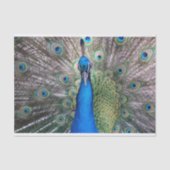 TSP - 098 - Peacock - Weefselpapier Tissuepapier (Voorkant)