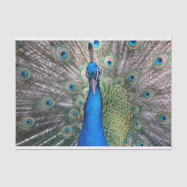 TSP - 098 - Peacock - Weefselpapier Tissuepapier