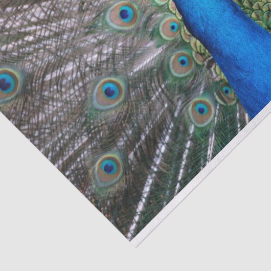 TSP - 098 - Peacock - Weefselpapier Tissuepapier (Detail)
