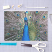 TSP - 098 - Peacock - Weefselpapier Tissuepapier (Craft)