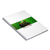 TST/GUMBAE-WIJN NOTITIEBOEK (Rechterzijde)