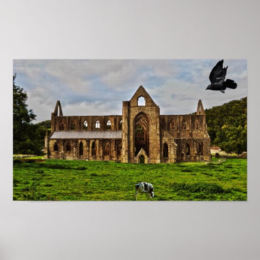 Tstage Abbey Cistercian klooster Pastoral Scene Poster (Voorkant)