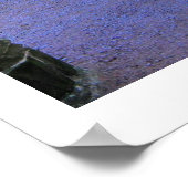 Tstage Abbey Cistercian Monastery Wales Poster (Hoek)