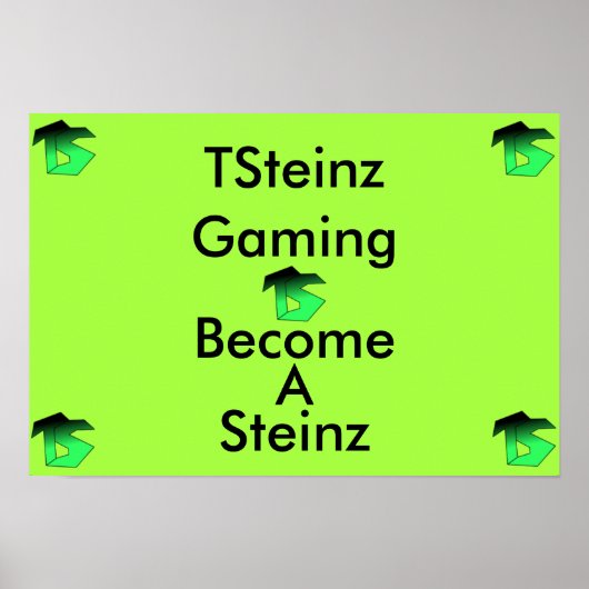 TSteinz Poster (Voorkant)