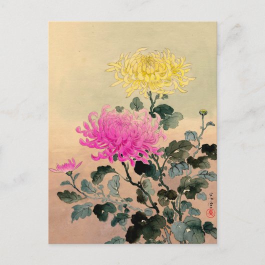 Tsuchiya Koitsu 土 光 逸 - Chrysanthemum 菊 Briefkaart (Voorkant)