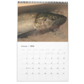 tsukiji fotografie 2014 kalender (Jan 2026)