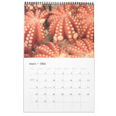 tsukiji fotografie 2014 kalender (Mar 2026)