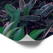 TSUKUBAI BASIN IN KOTO-IN-TEMPEL POSTER (Hoek)