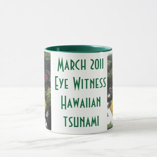 Tsunami 2011 Hawaii Mok (Midden)