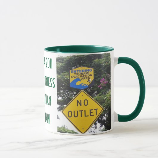 Tsunami 2011 Hawaii Mok (Rechts)