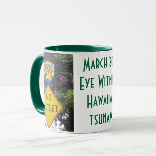 Tsunami 2011 Hawaii Mok (Voorkant links)