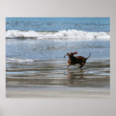 Tsunami Harry Poster (Voorkant)