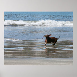 Tsunami Harry Poster