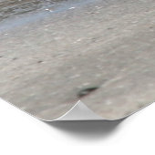 Tsunami Harry Poster (Hoek)