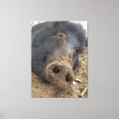 T'tig Canvas Afdruk (Voorkant)