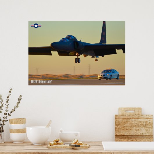 TU-2S DRAGON LADY POSTER (Keuken)