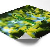 Tu (aarde) poster (Hoek)