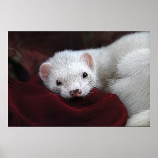 Tu chantais is bien... poster (Voorkant)