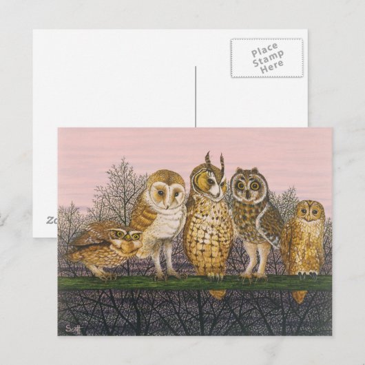 Tu-whit Tu-whooing Briefkaart (Voorkant / Achterkant)